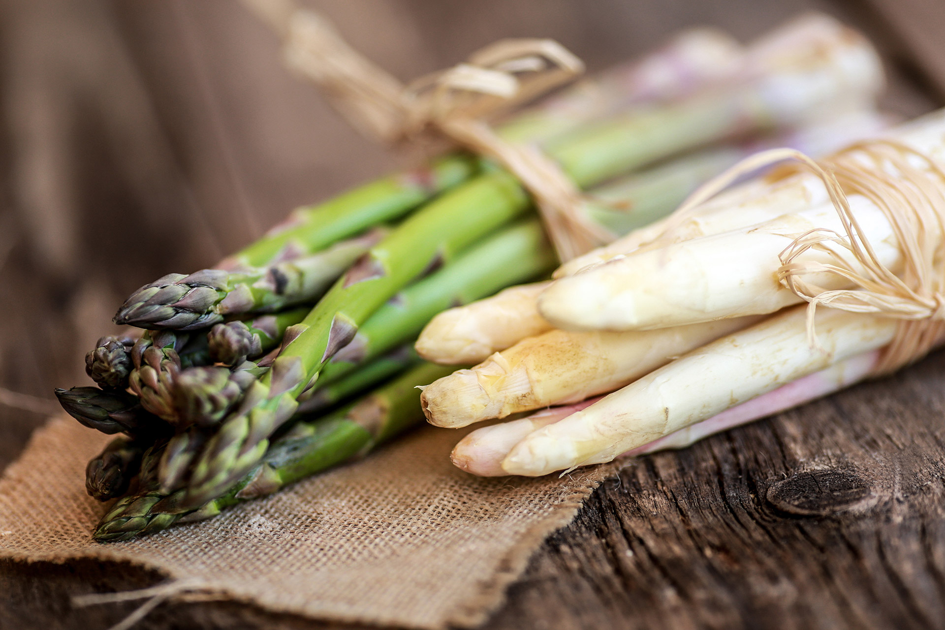 visu-asperge