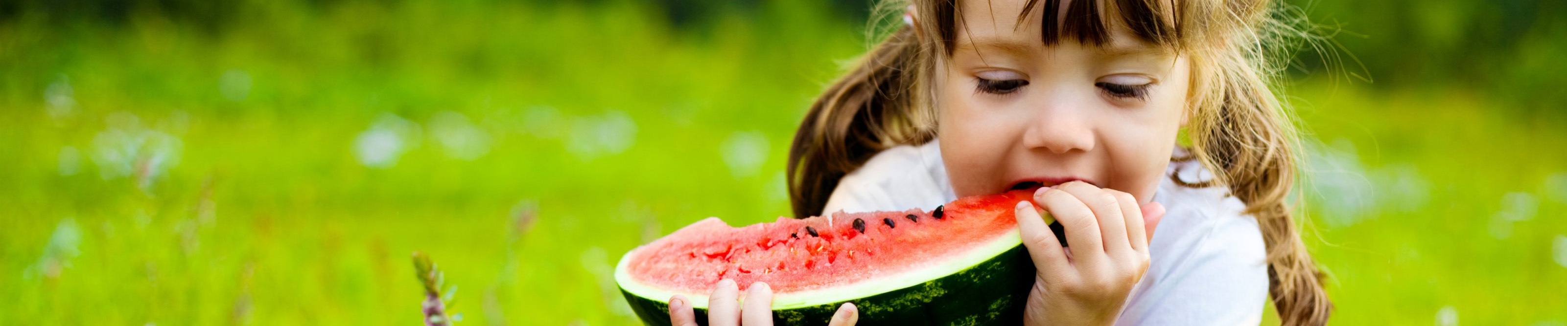 gygroup_watermelon_banner